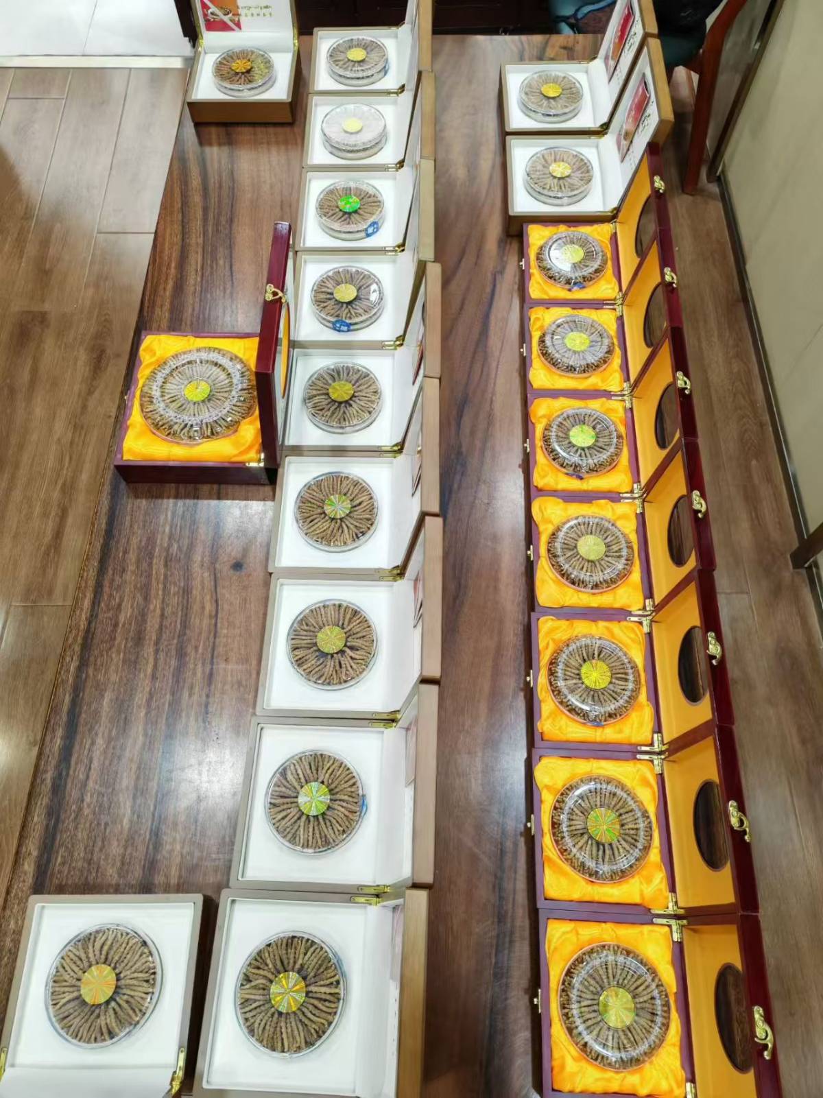 ���������Ĳ�